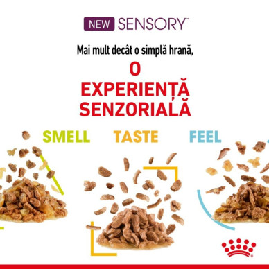 Royal Canin - Sensory Mix Pack Hrana Umeda Pisica In Sos